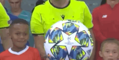 致敬，都柏林动物园将一只极度濒危的鹦鹉取名特洛伊-帕罗特